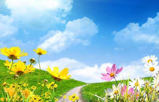 1239002 (a): :3580x2300